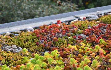 the cost of Dormston green roof installation