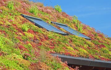Dormston living roof systems